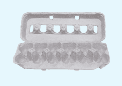 case 2